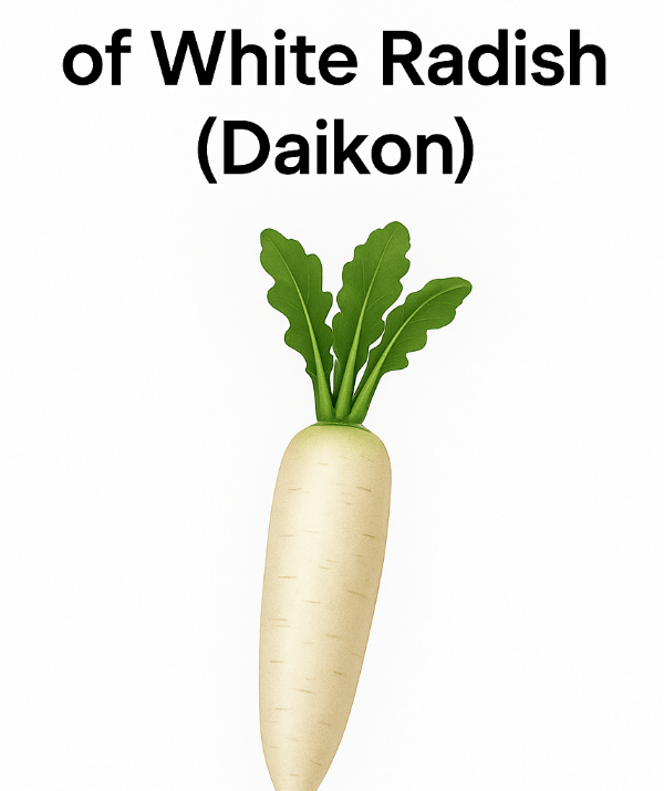 6 Health Benefits of White Radish